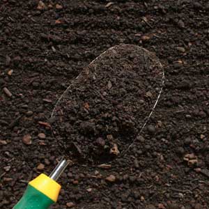 living earth garden soil